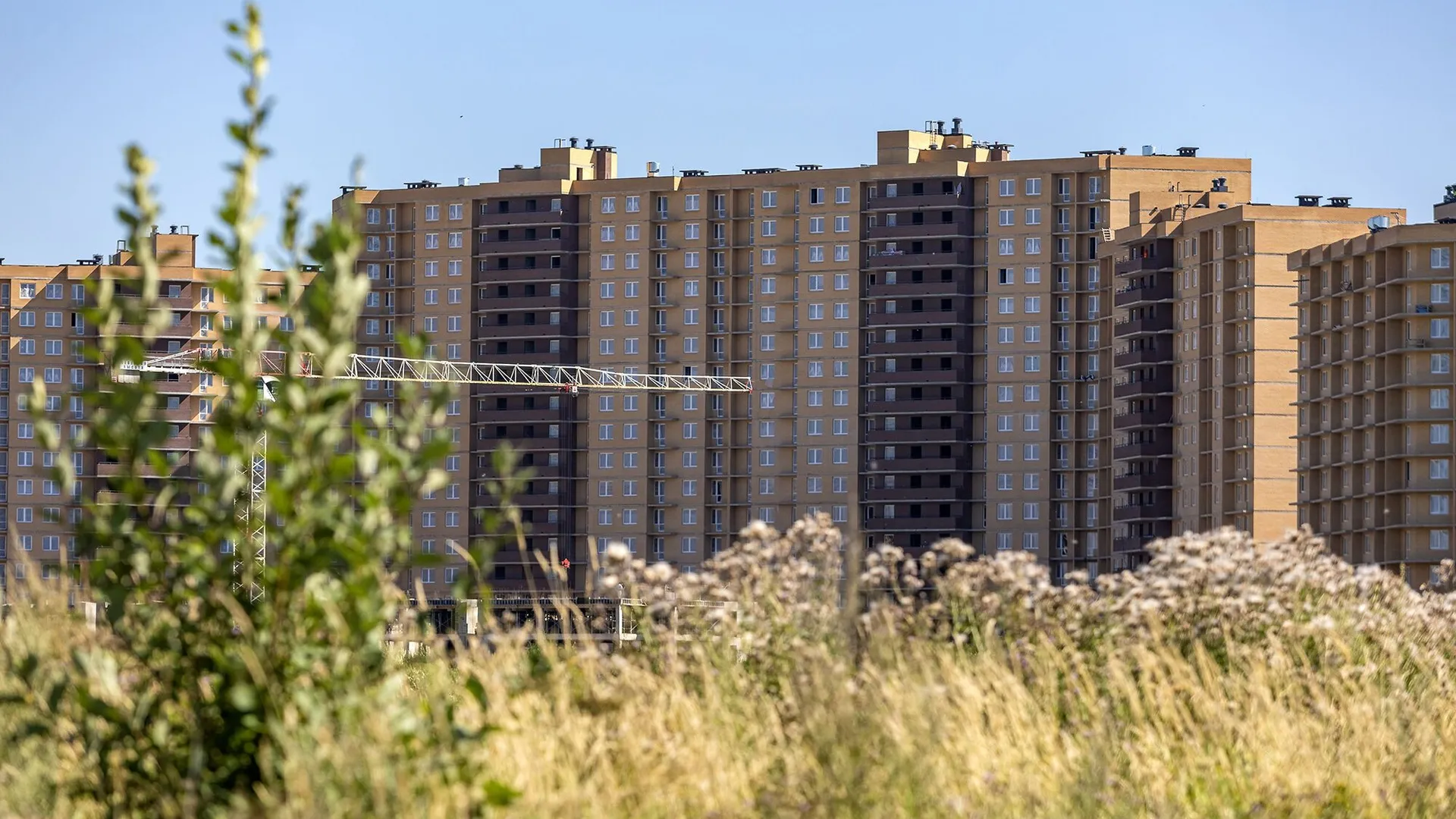Новостройка: Стороны света от застройщика Прок, с.п. Бугровское — визуализация жилого комплекса (фото 11)