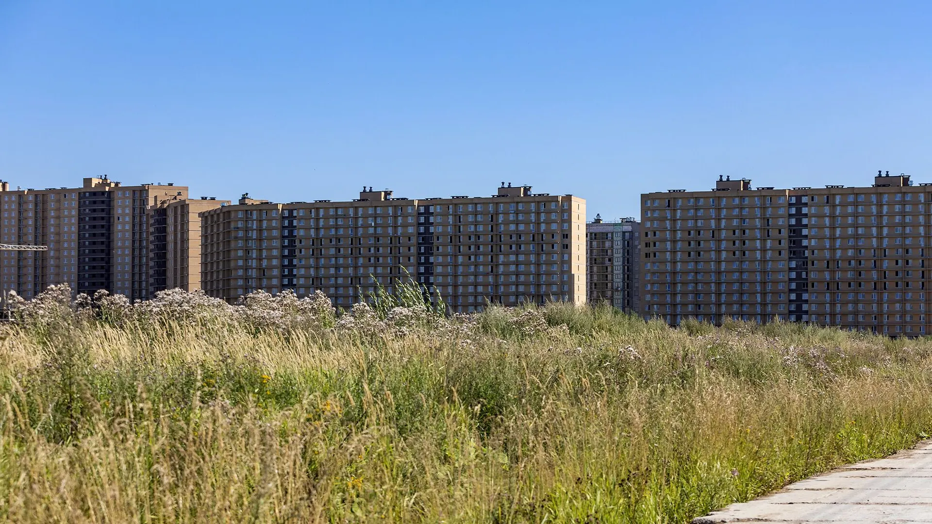 Новостройка: Стороны света от застройщика Прок, с.п. Бугровское — визуализация жилого комплекса (фото 3)