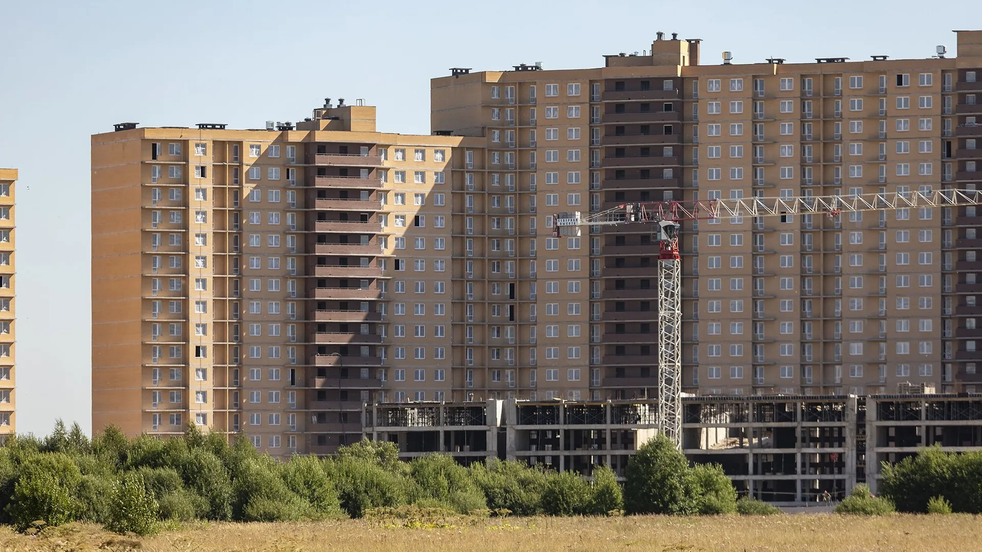 Новостройка: Стороны света от застройщика Прок, с.п. Бугровское — визуализация жилого комплекса (фото 4)
