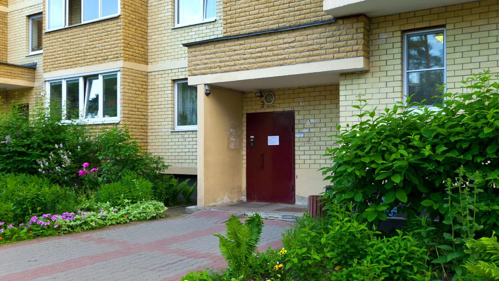 Изображение особенности