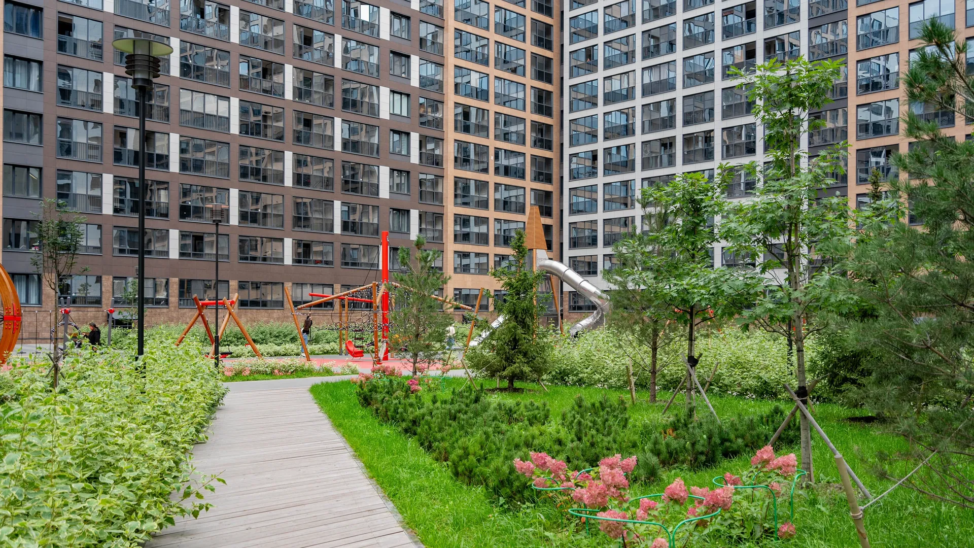 Пульс Премьер