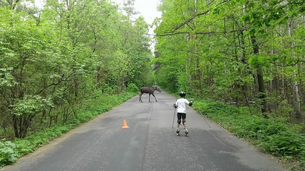 Изображение особенности