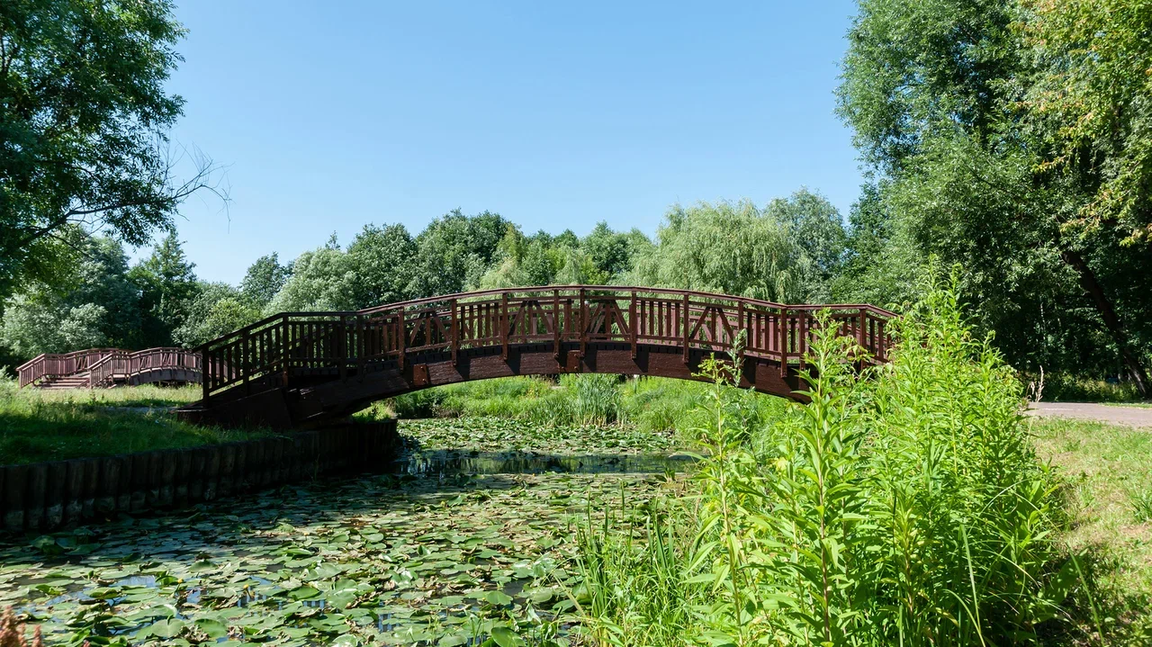 Изображение особенности