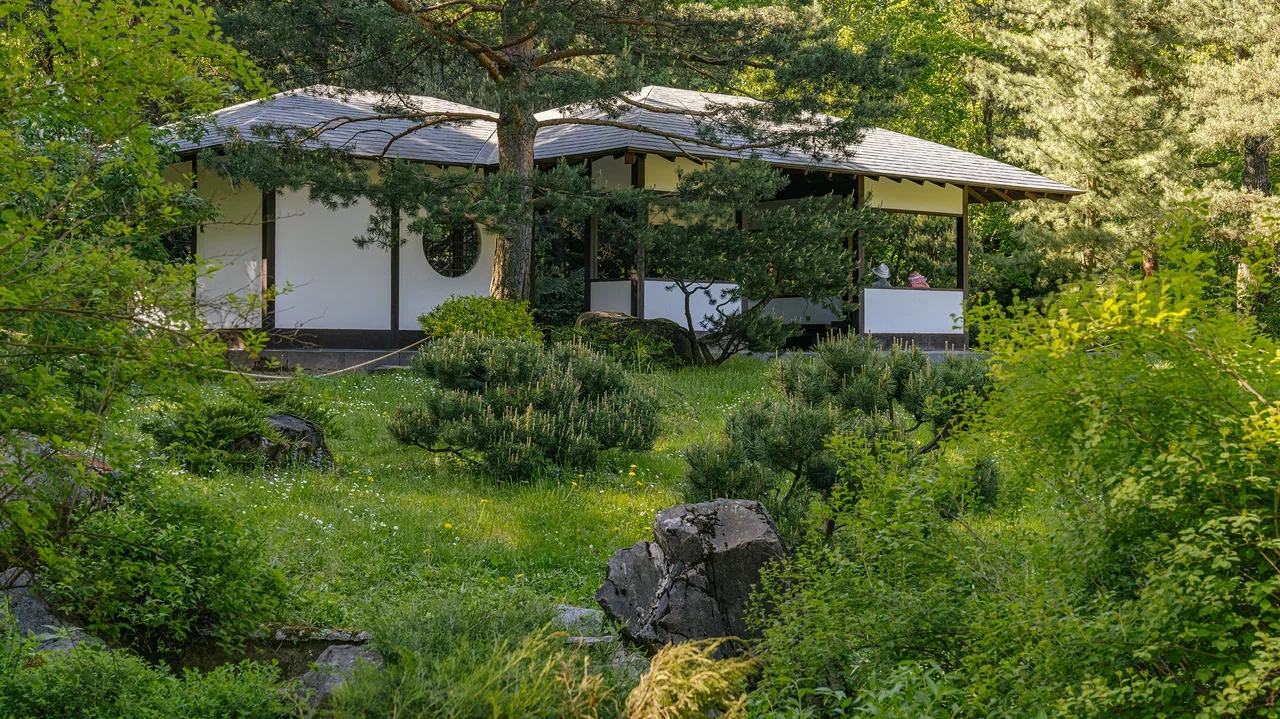 Изображение особенности