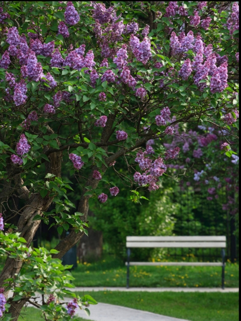 Изображение особенности