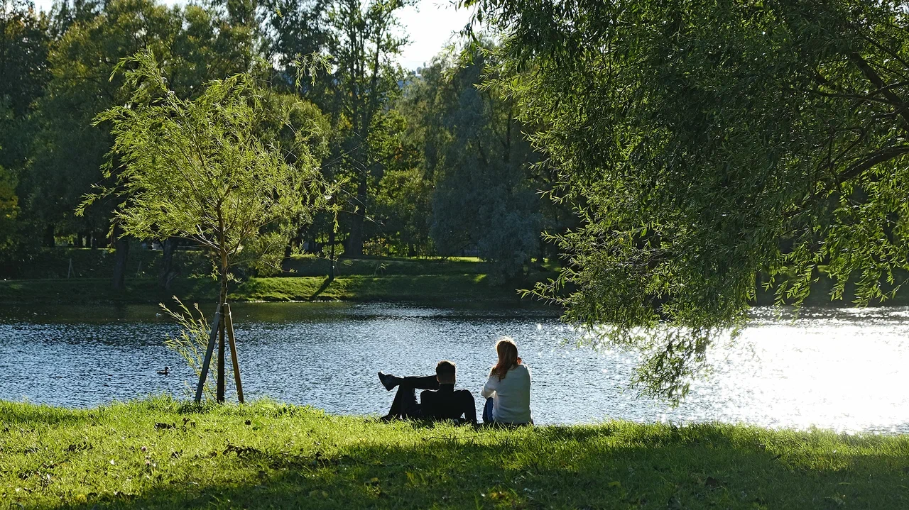 Изображение особенности