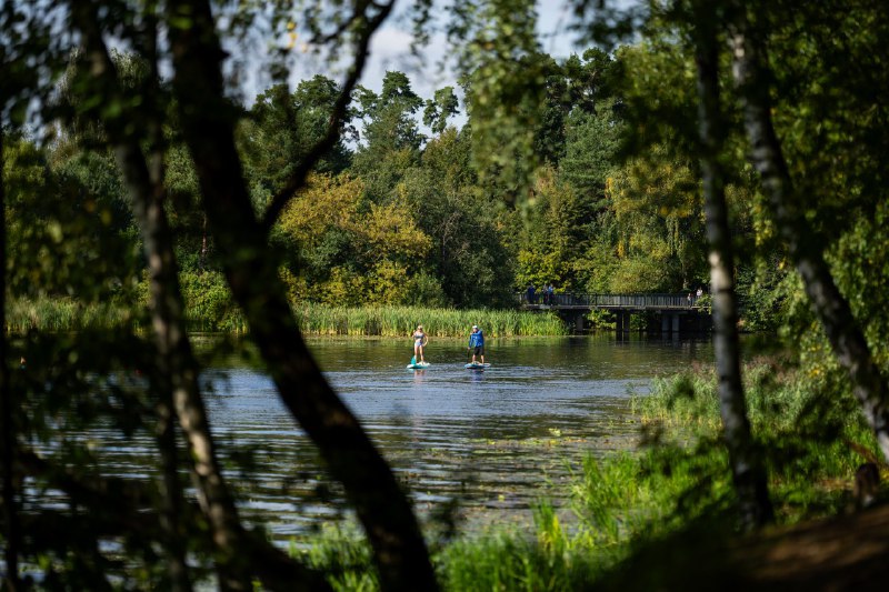 Изображение особенности