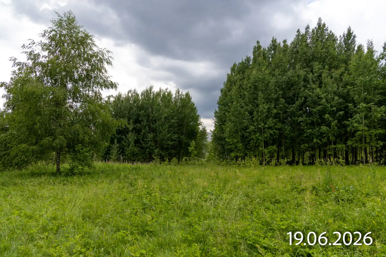 Ход строительства новостройки Хольм от застройщика А101: фото за Июнь,2026 — (фото 1)