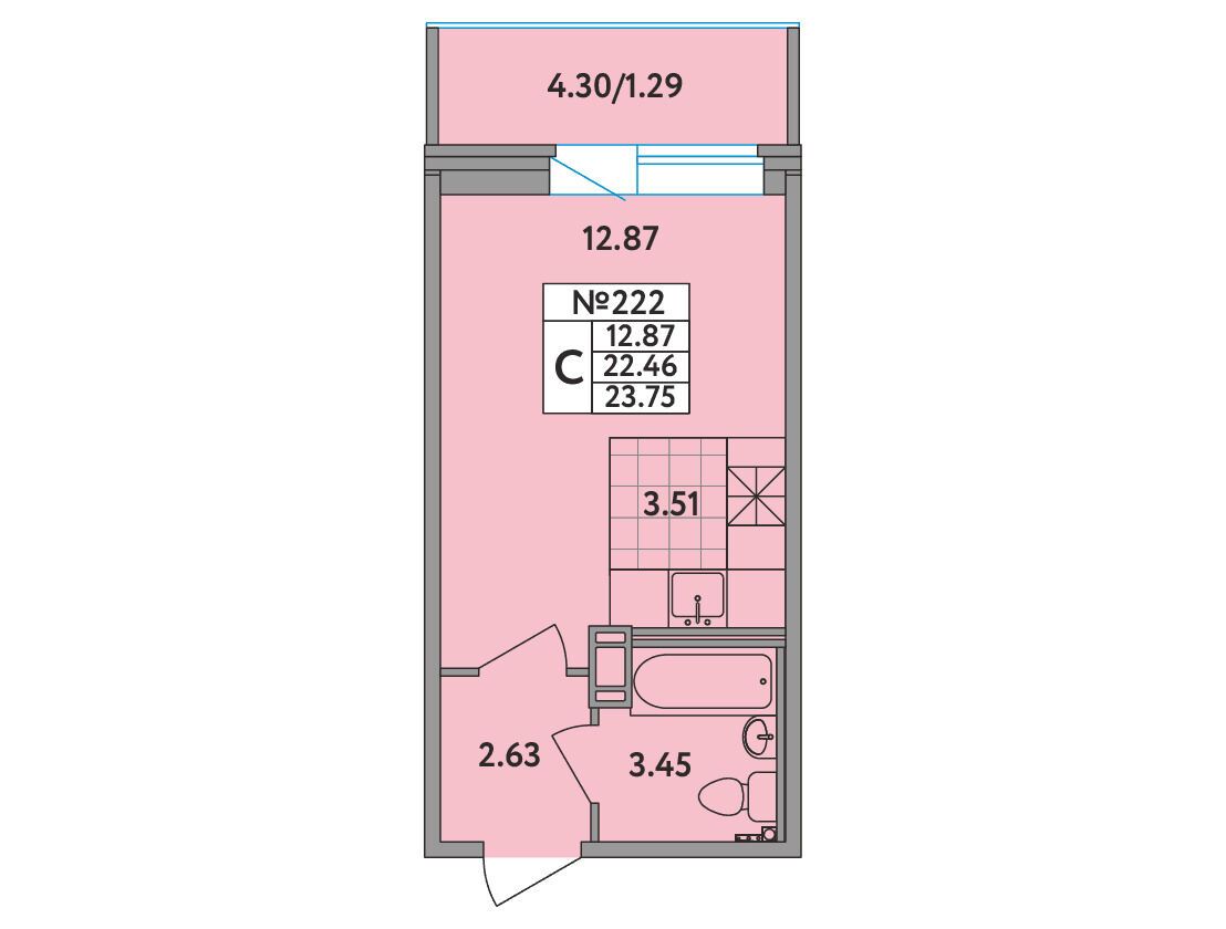 Планировка: Студия 23.70 м² в новостройке Удача